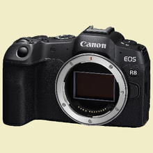 Canon EOS R8 (Astro) - Body Only (New)