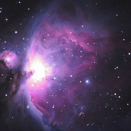 Orion Nebula - Steve Nielson