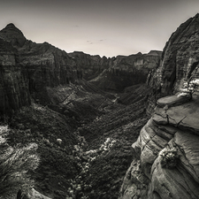Zion Canyon Overlook - 830nm IR Filter - 02