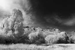 Amplified Color IR Filter (665nm) - B&W Image Conversion