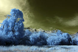 Extreme Color IR Filter (590nm) - No Adjustments