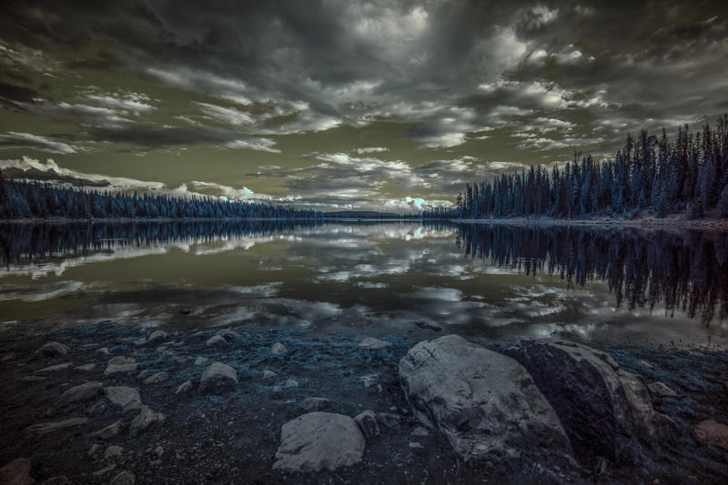 ir filter ir modified camera