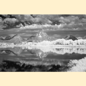 Grand Tetons National Park - Oxbow Bend I (Black & White - Print)