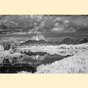 Grand Tetons National Park - Oxbow Bend II (Black & White - Print)