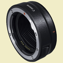 Canon RF to EF Lens Adapters